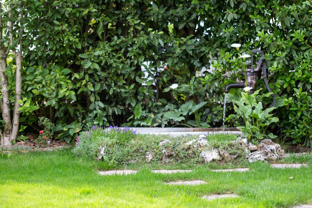 B&B Arco Di Pietra Quinto Di Treviso Exterior photo